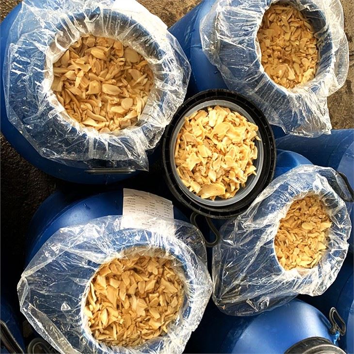 King Oyster Mushroom In Drum (1)
