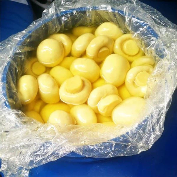 فطر شامبينون في ثاني أكسيد الكبريت SO2