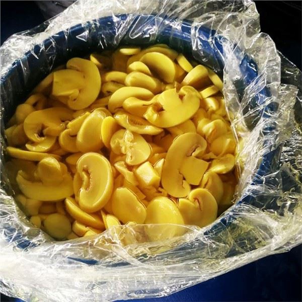 Agaricus الفطر في Conserve