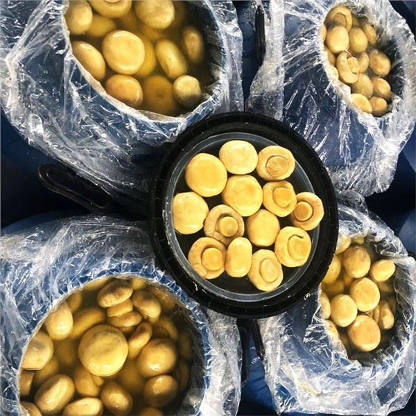 الفطر في محلول ملحي في طبل 50kg