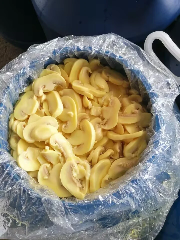 Salted Mushroom Wholesale Champignon in Brine in Drums best
