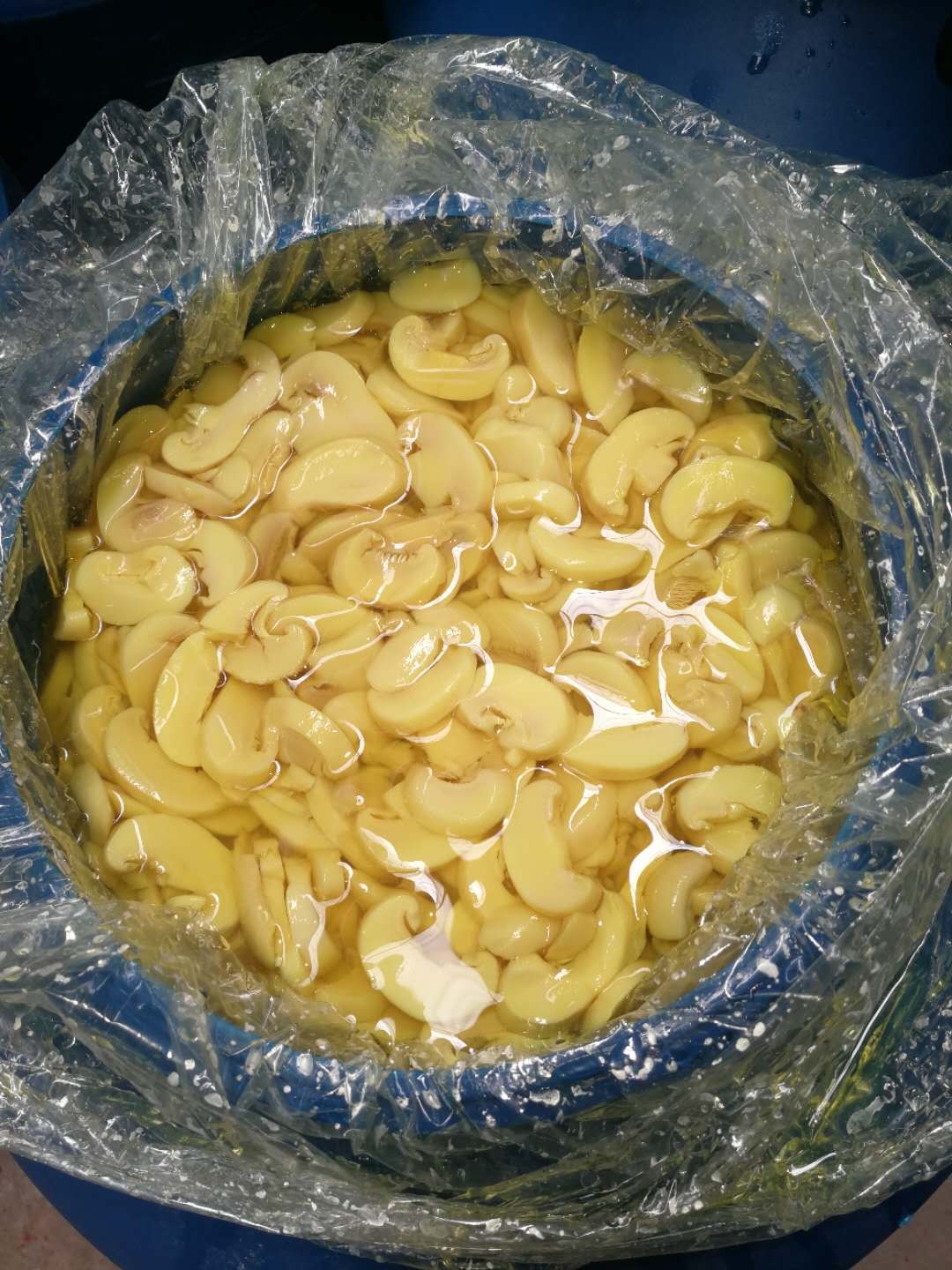Salted Mushroom Wholesale Champignon in Brine in Drums suppliers