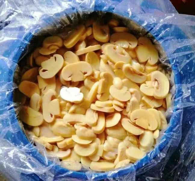 Salted Mushroom Wholesale Champignon in Brine in Drums factory